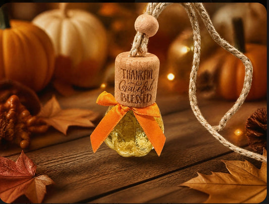 Pumpkin shaped Car diffuser